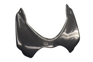 Kolfiber delar till Ducati